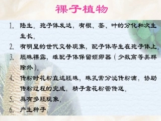 裸子植物.ppt