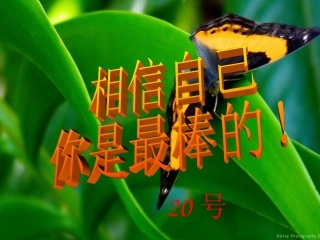 圆锥的侧面积和全面积 ppt