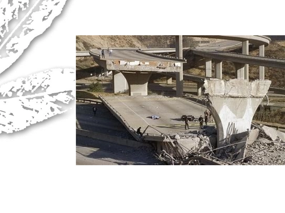 周明玉 地震中的父与子_第2页