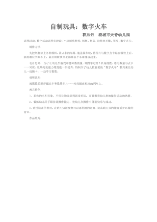 自制玩具 (2)
