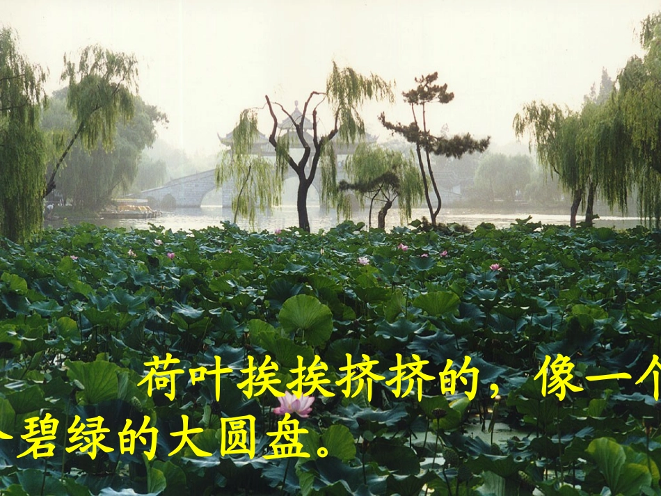 胡付芳《荷花》_第3页