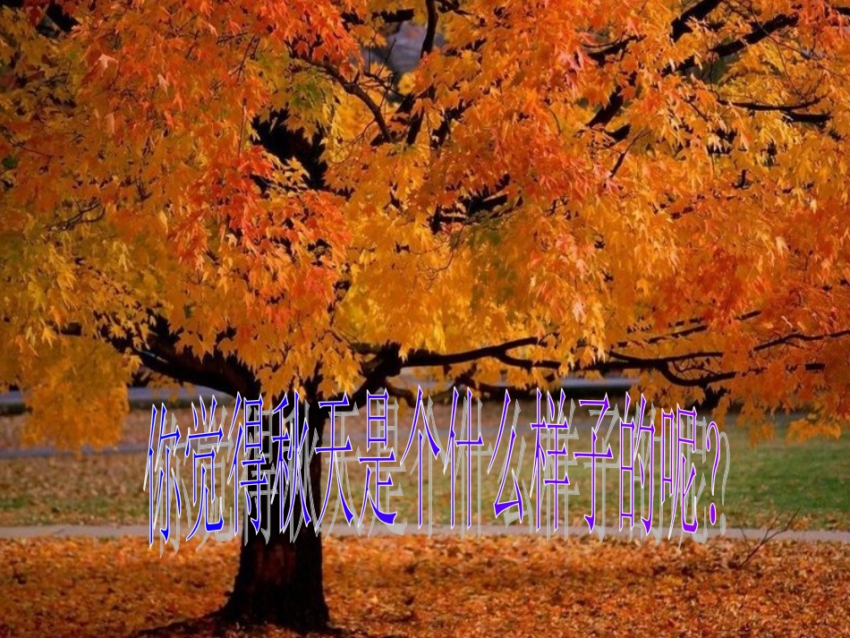 夜书所见ppt_第1页