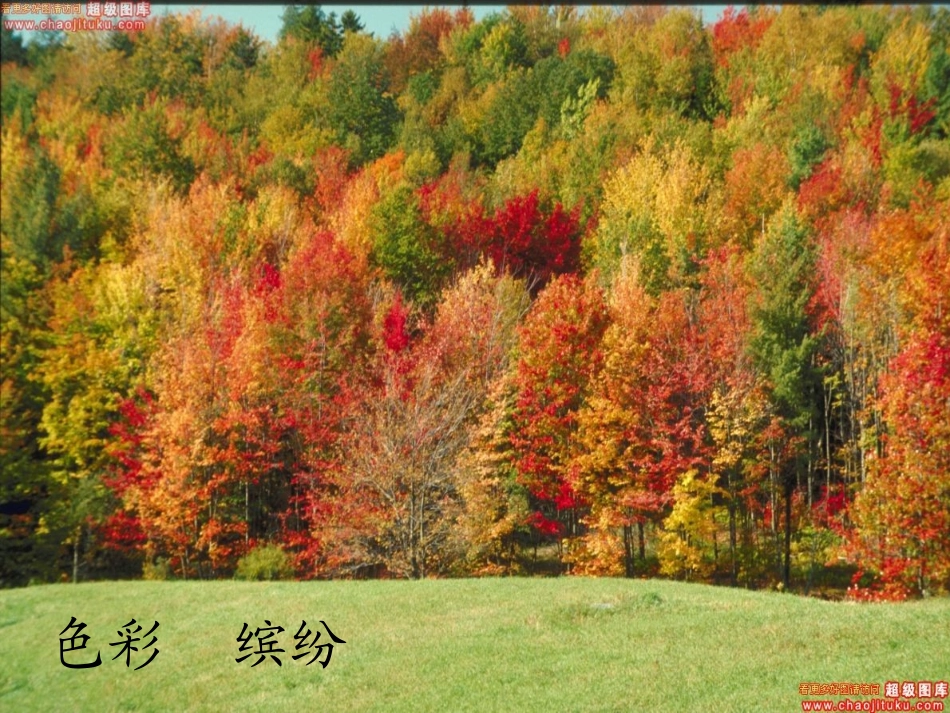 夜书所见ppt_第3页