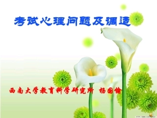 考试心理问题与调适