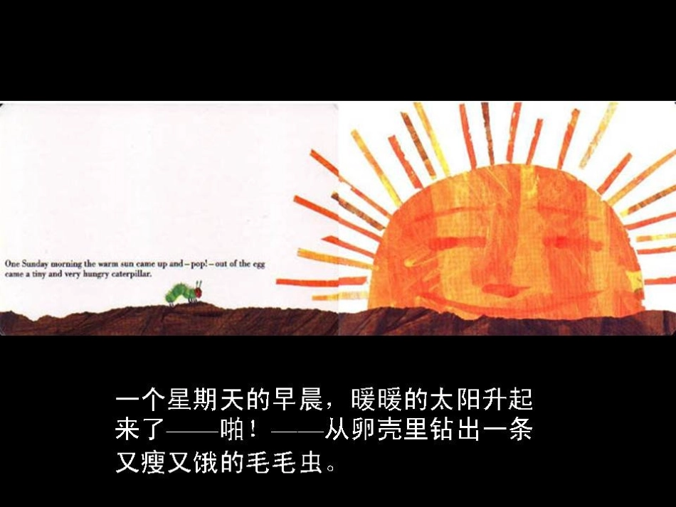 肚子好饿的毛毛虫（绘本）_第3页