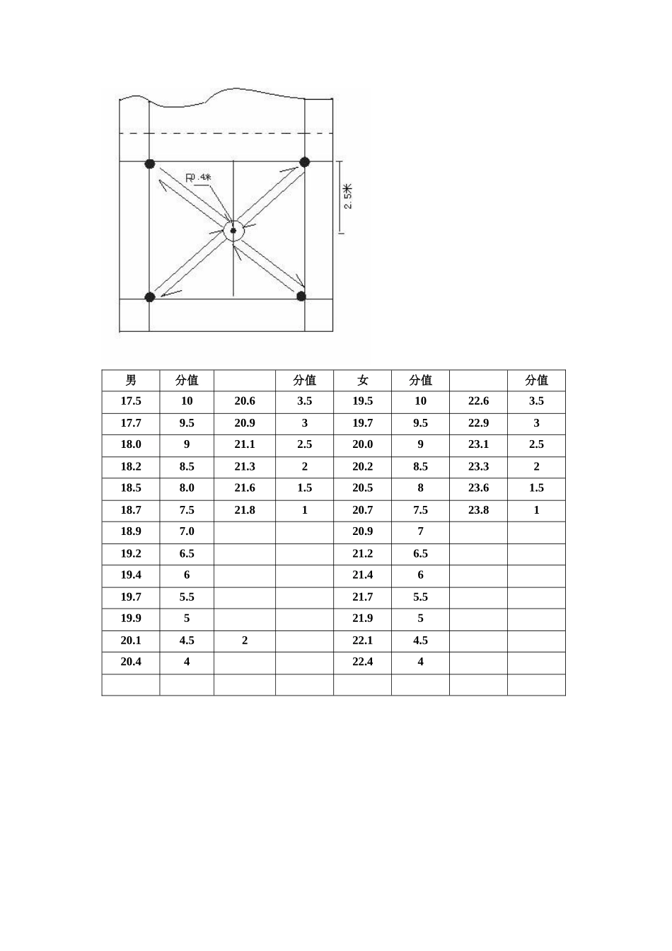 羽毛球测试标准_第3页