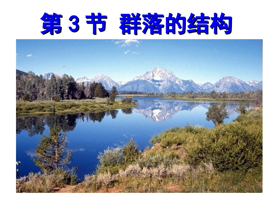 群落的结构课件_第1页