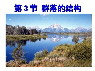 群落的结构课件