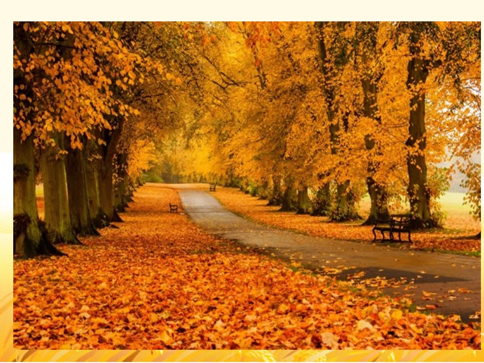 美丽的秋天啊_第3页