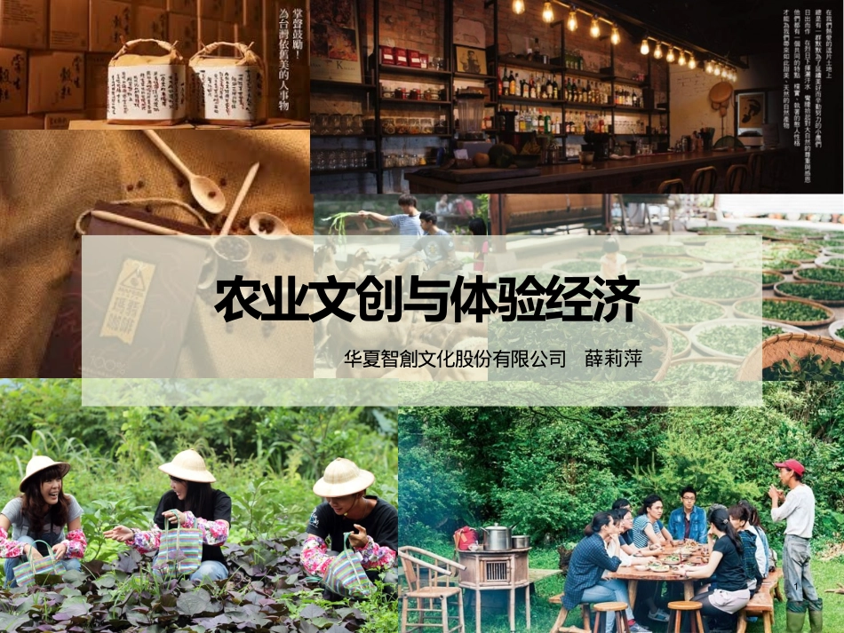 农业文创与体验经济_第1页