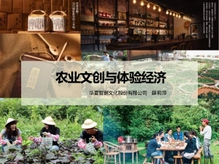农业文创与体验经济
