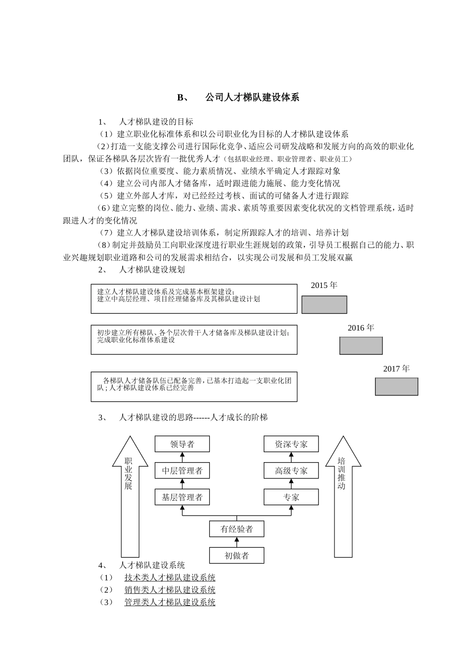 人才梯队建设详细方案_第3页