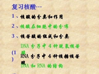 细胞中的糖类和脂质课件