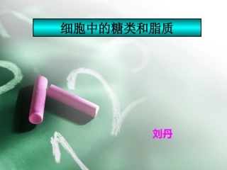 细胞中的糖类和脂质-刘丹