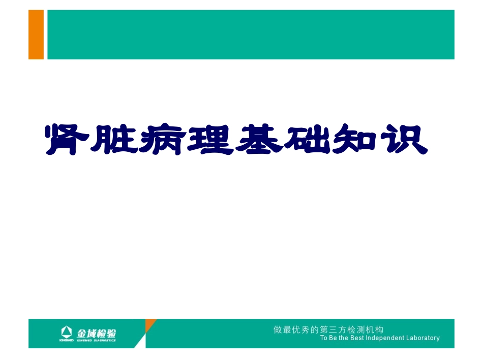 肾活检病理检查及肾脏病理基础知识_第2页