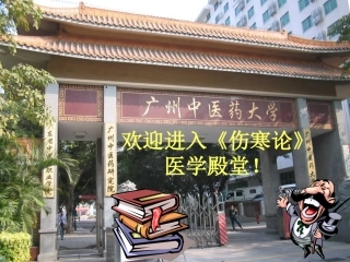 五运六气对体质判断的研究(中研会)