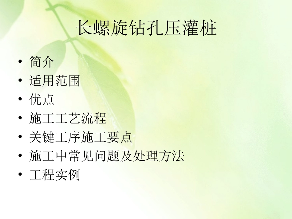 长螺旋钻孔压灌桩技术_第2页