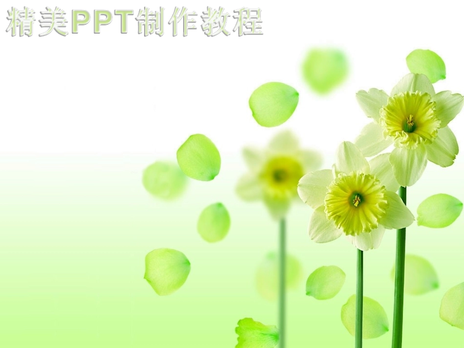 精美制作教程_第1页