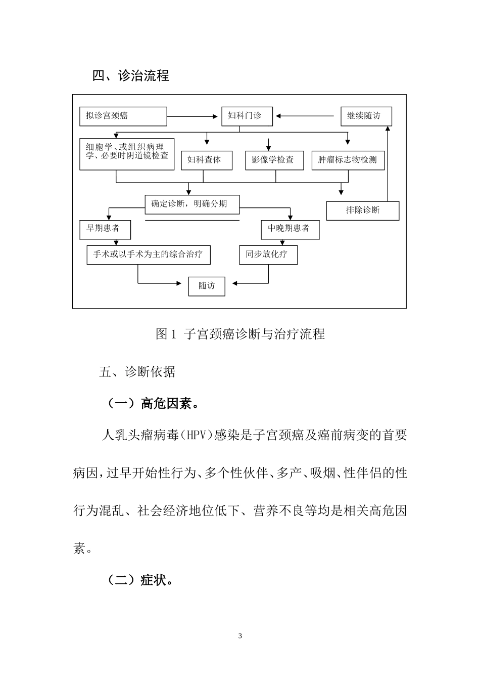 宫颈癌诊断治疗标准_第3页