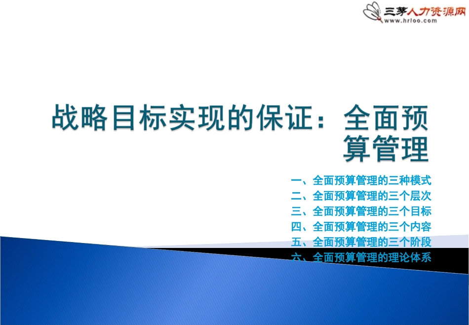 全面预算管理体系的建立_第1页