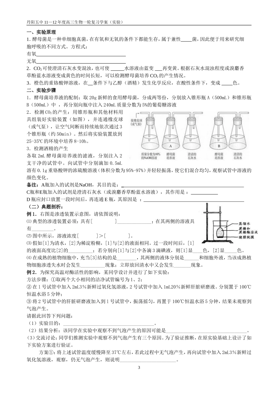 第四十课时探究类实验一学案_第3页