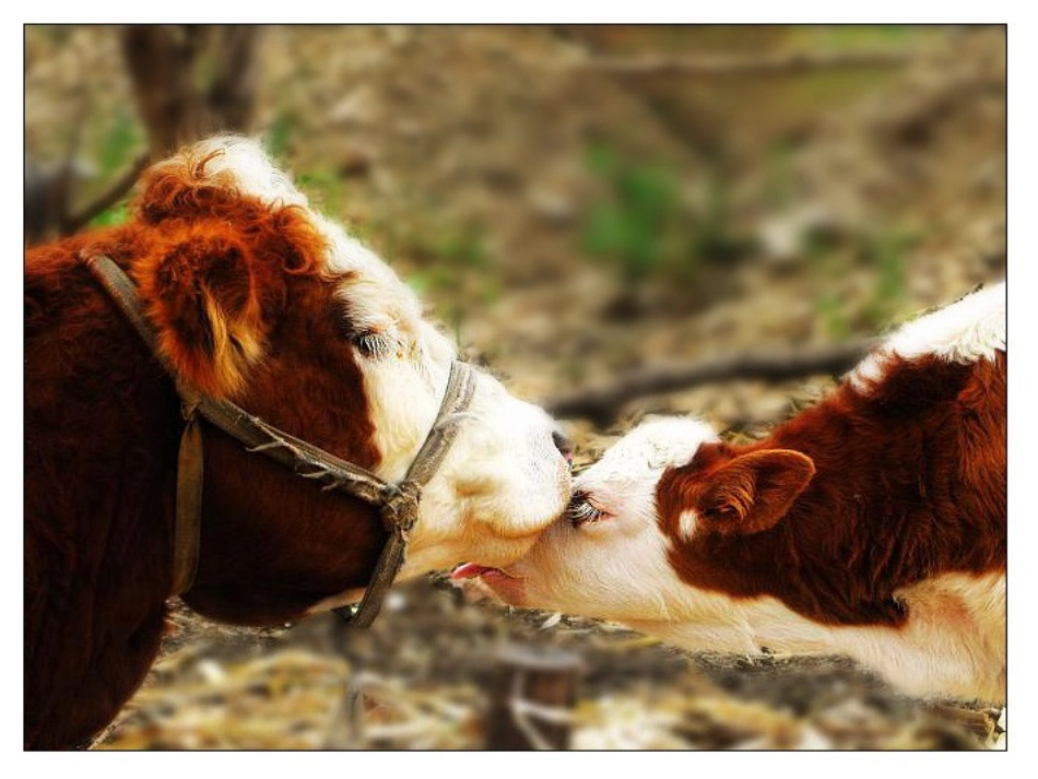 第四册练习4（修改）_第3页