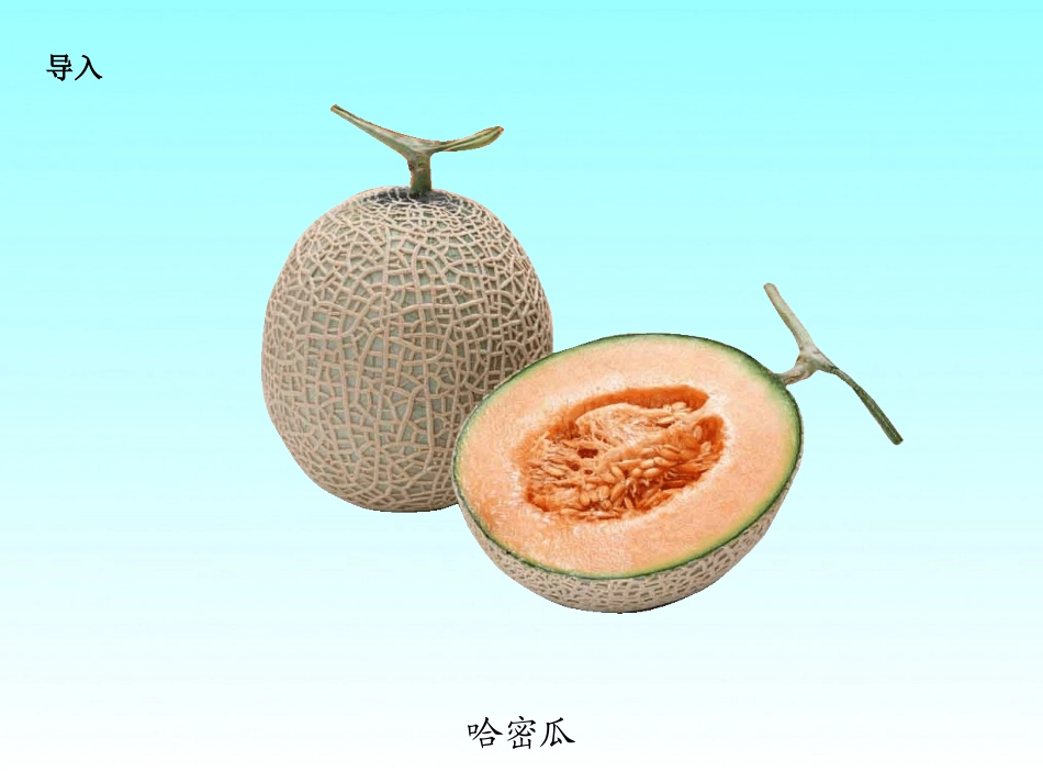 第十六课短文两篇家乡的哈密瓜菱_第3页