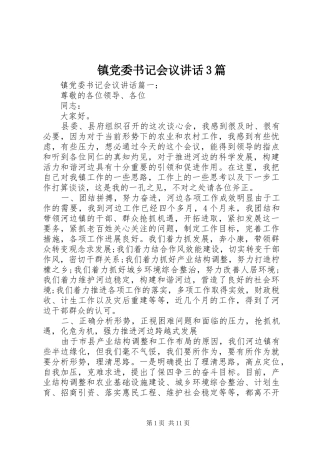 镇党委书记会议讲话3篇