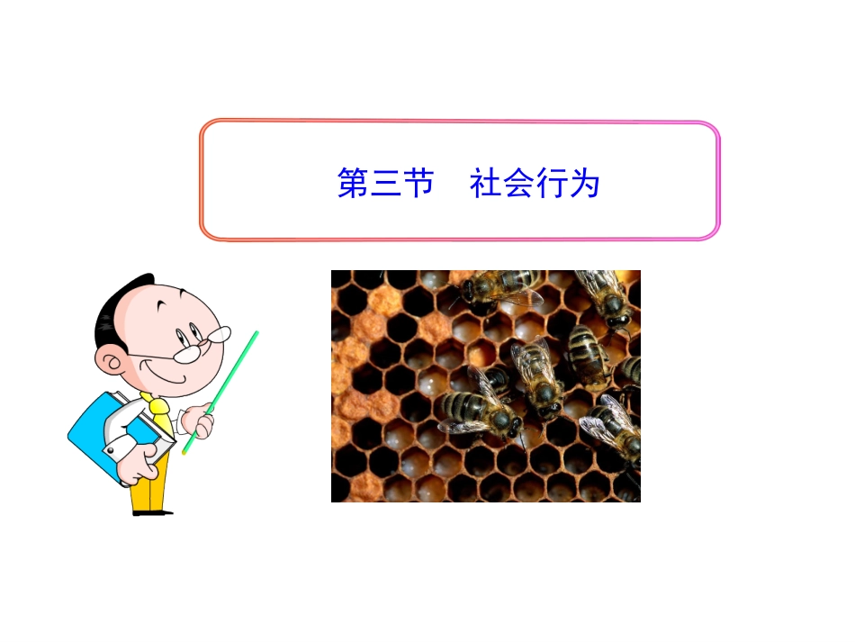 第五单元第二章第三节社会行为_第1页