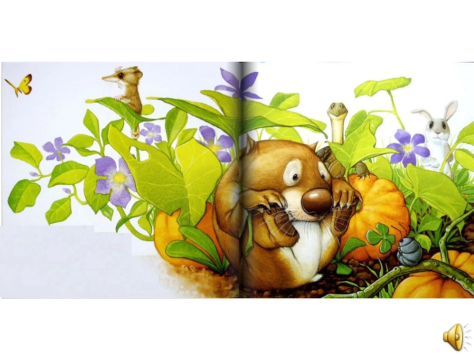 小班绘本小袋袋_第3页