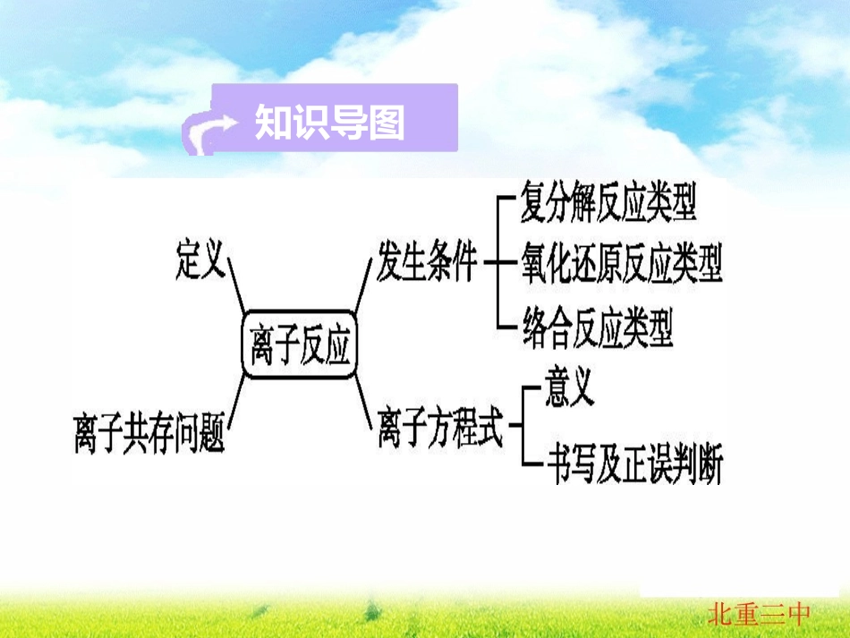 第二讲离子反应PPT_第3页