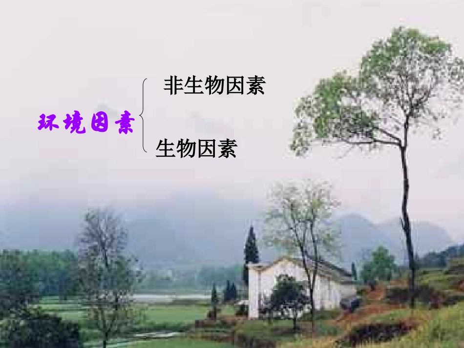 第二章第二节环境第二课时_第2页