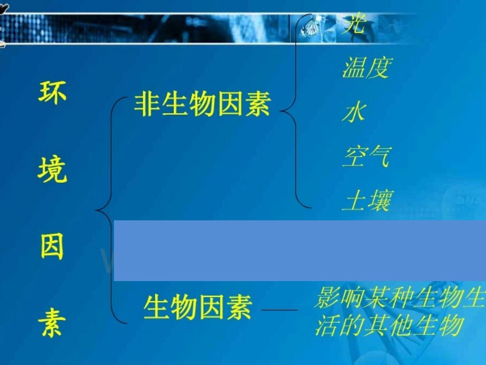 第二章第二节环境第二课时_第3页