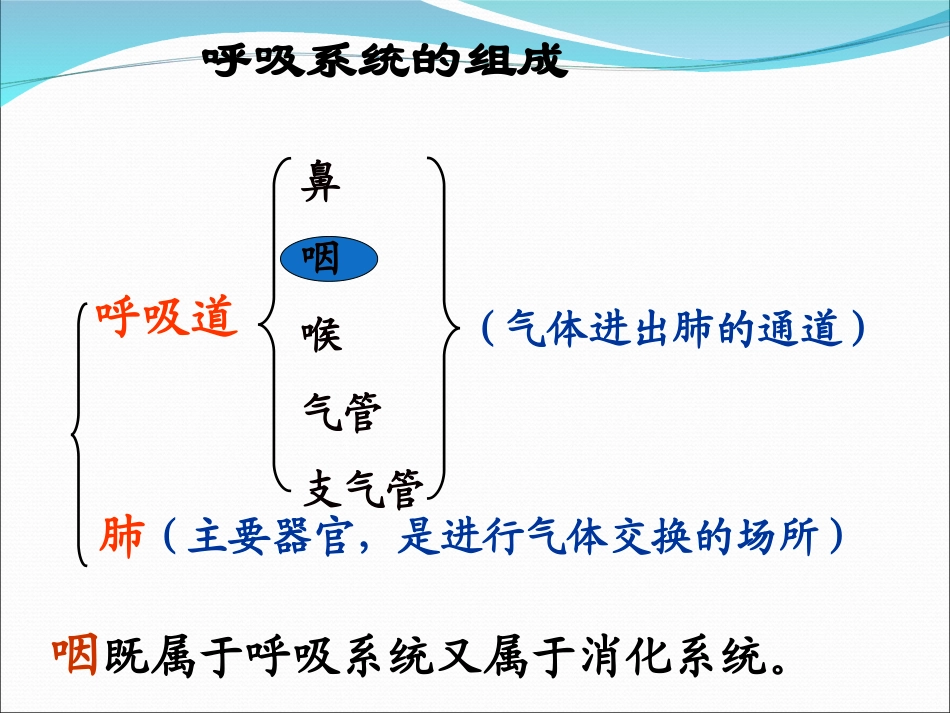 第二节人体的呼吸2_第3页