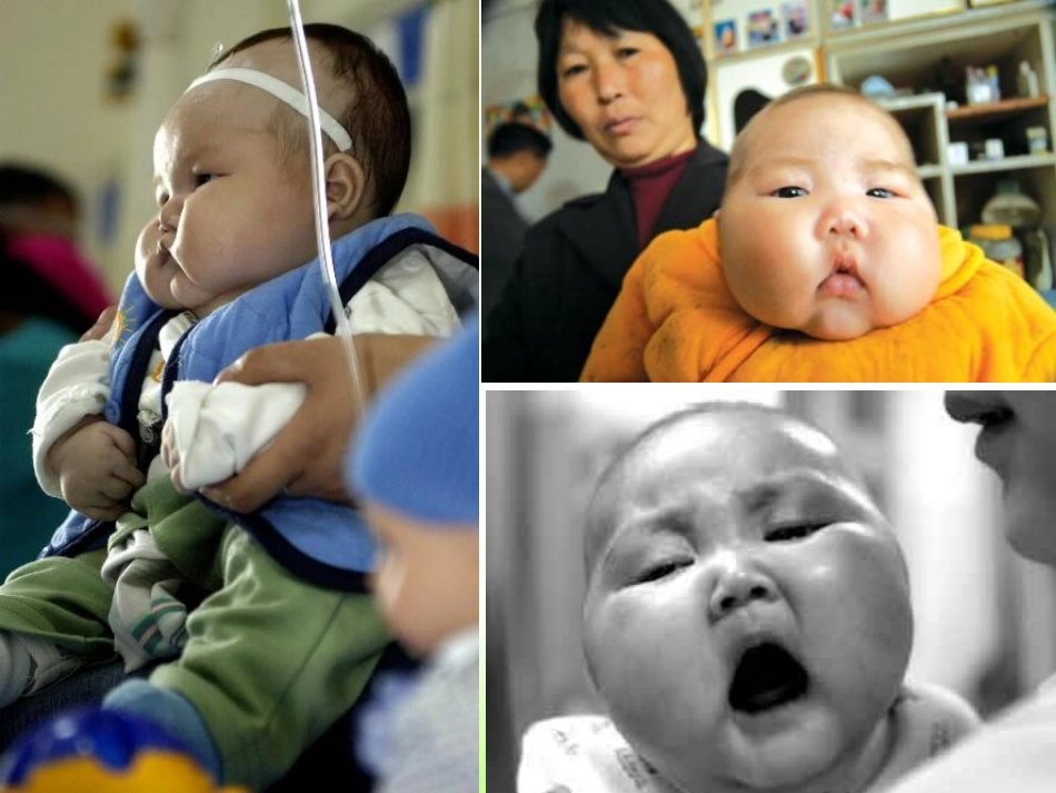 第二章+第二节+生命活动的主要承担者——蛋白质_第1页