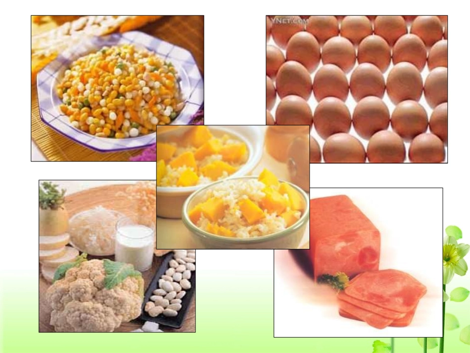 第二章+第二节+生命活动的主要承担者——蛋白质_第3页