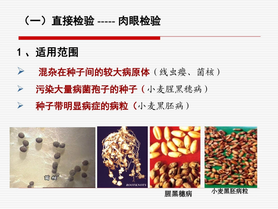 植物病害检疫检验技术真菌_第3页