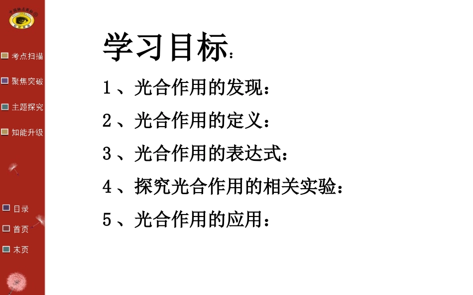 第九讲光合作用_第2页