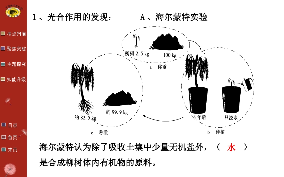 第九讲光合作用_第3页
