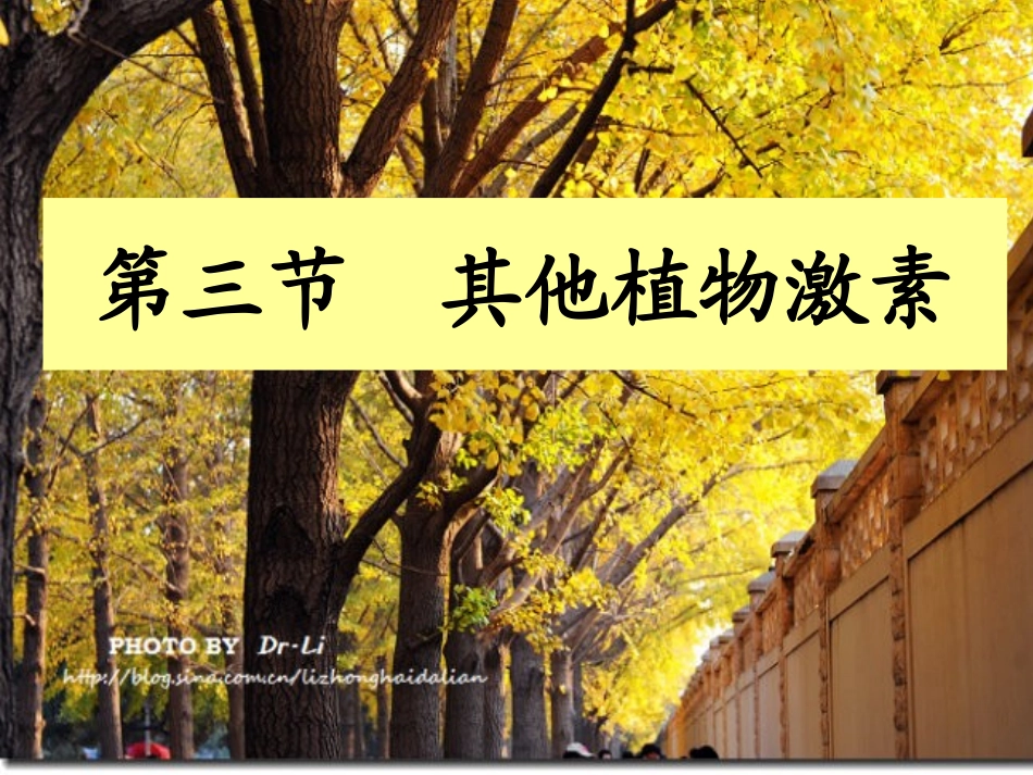 其他植物激素(县公开课)_第3页