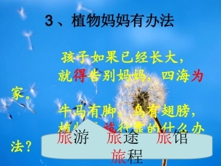 植物妈妈有办法    一课时