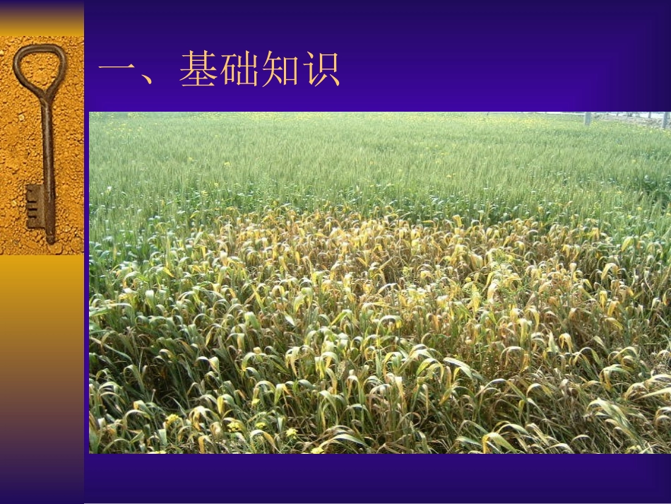 主要农作物病虫害防治技术_第3页