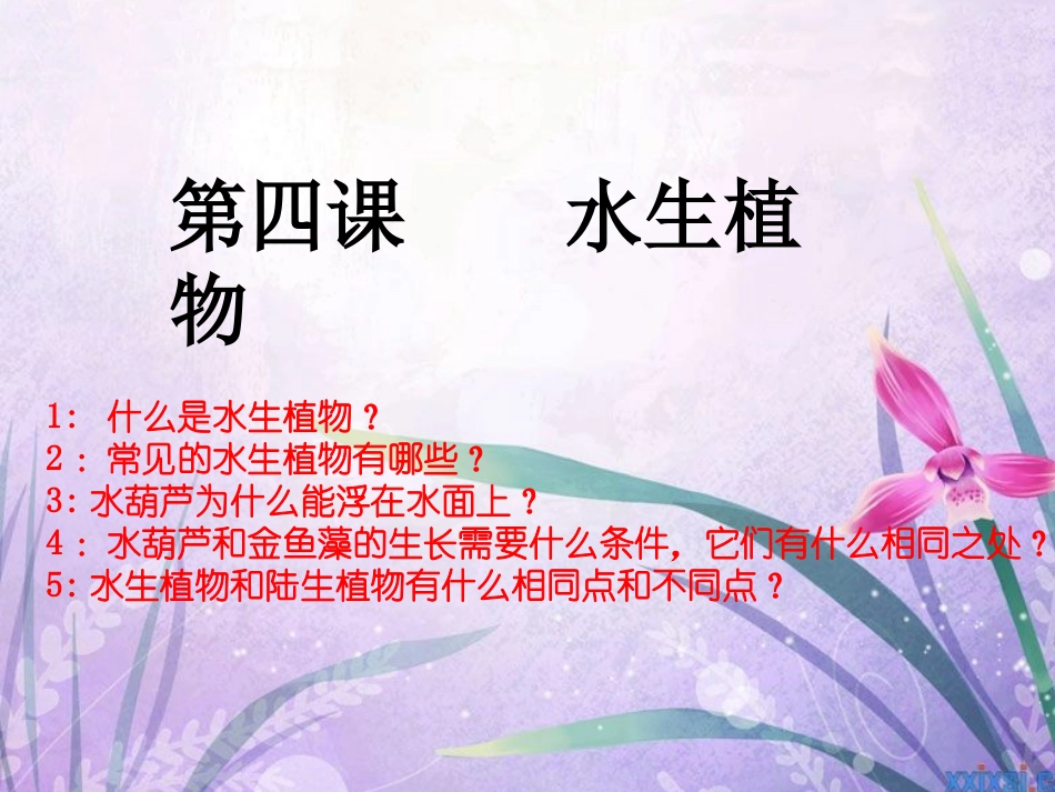 小学三年级科学《水生植物》_第1页