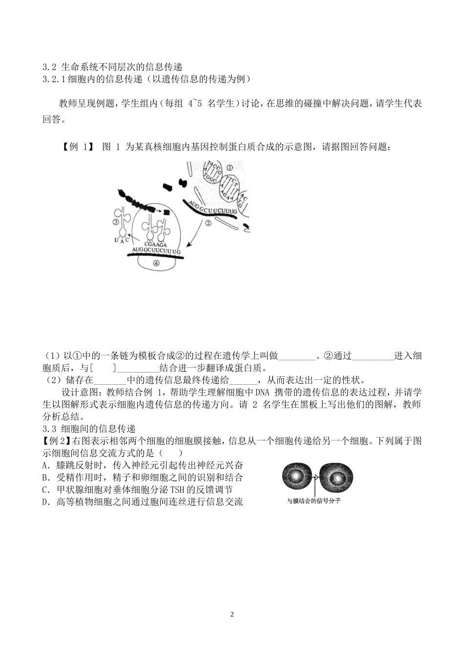生命系统的信息传递_第2页