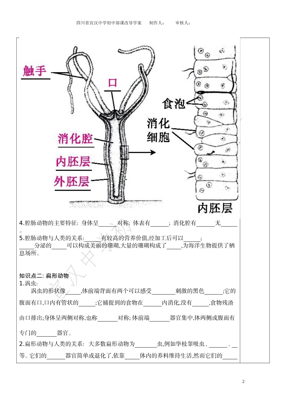 第一节　腔肠动物和扁形动物导学案_第2页