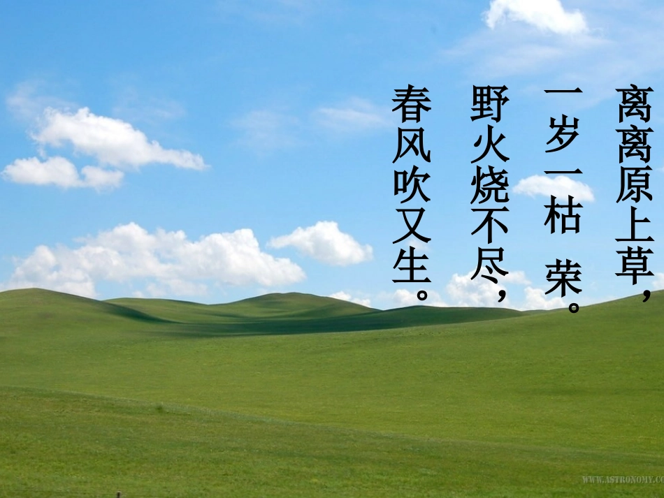 第一节_种子的萌发_第2页