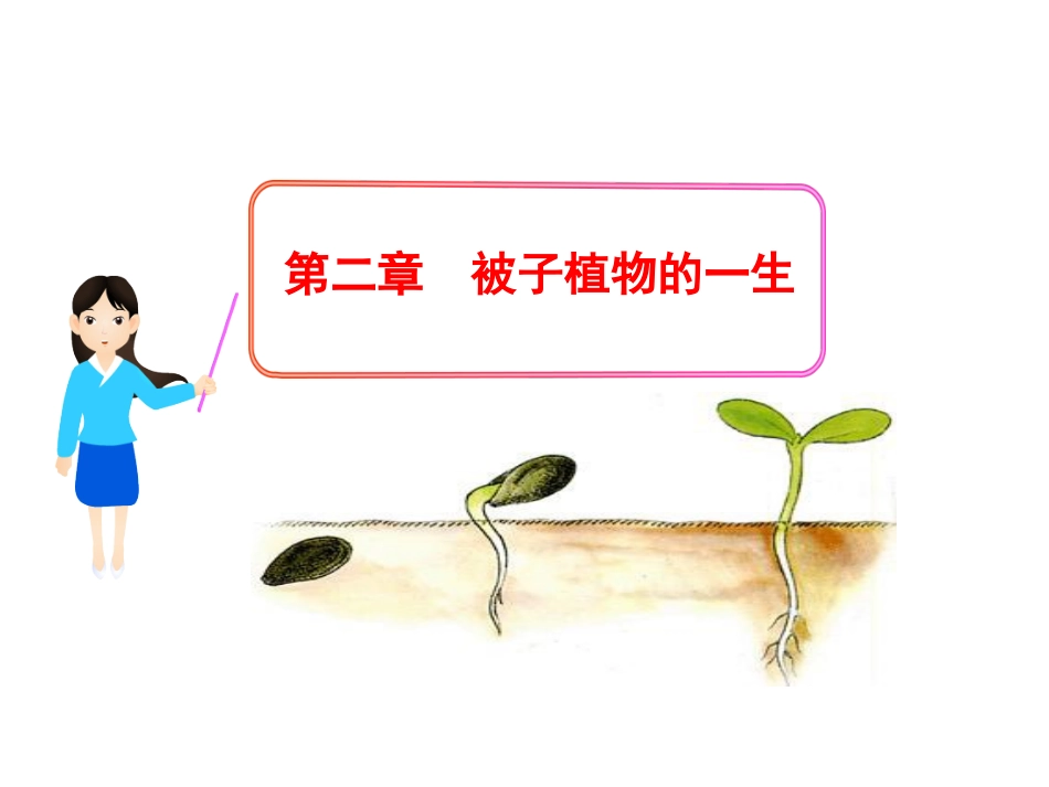 第一节_种子的萌发_第3页
