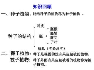 第一节_种子的萌发