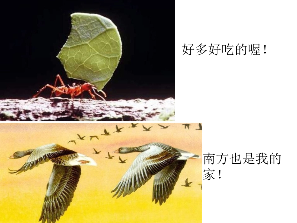 第一章生物学—研_第2页