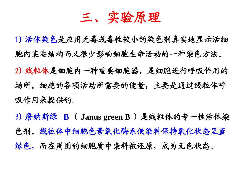 实验五、线粒体的超活染色与观察_第3页